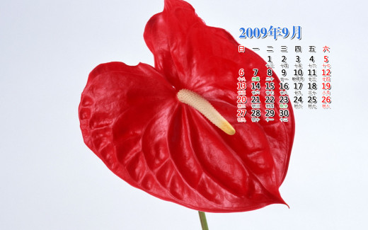 476286 (a): :1440x900